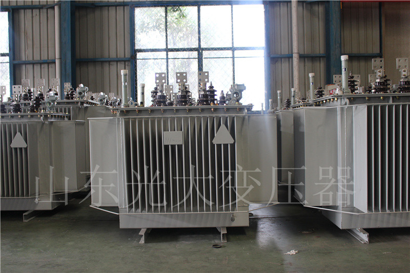 钦南S20-500KVA/10KV